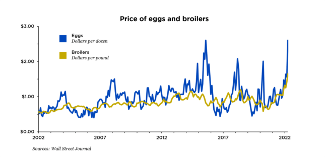Graph showing the price of eggs and broilers from 2002 to 2022