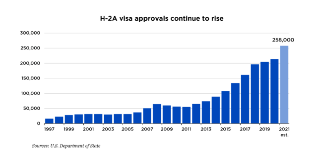 Graph showing H-2A visa approvals continuing to rise from 1997 through 2021.