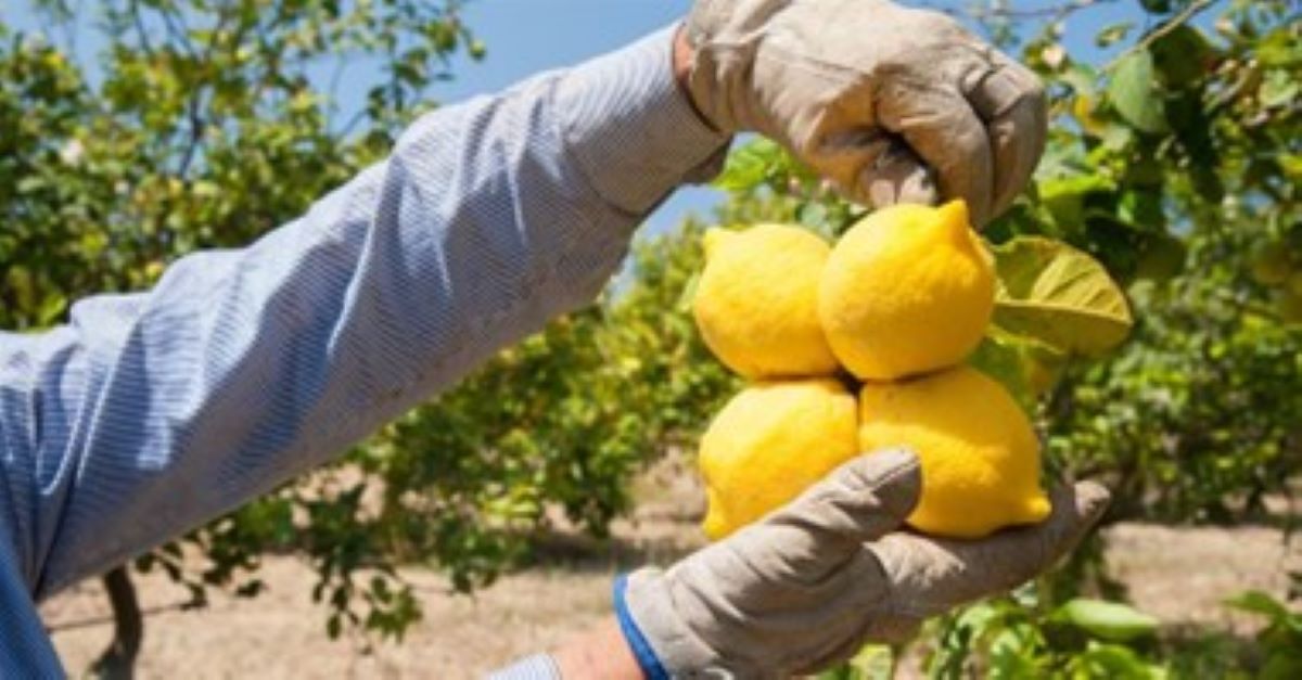 Protect california farm ranch customers with a difference in